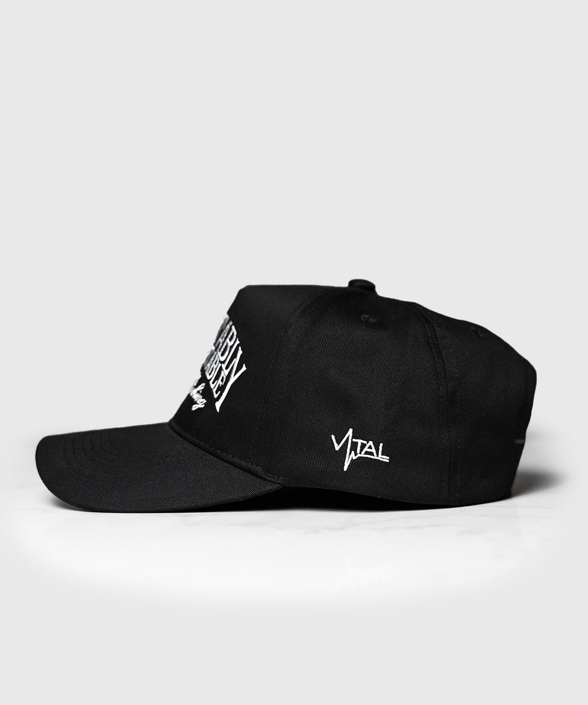 A Frame Snapback Hat - Black CUC - VITAL APPAREL